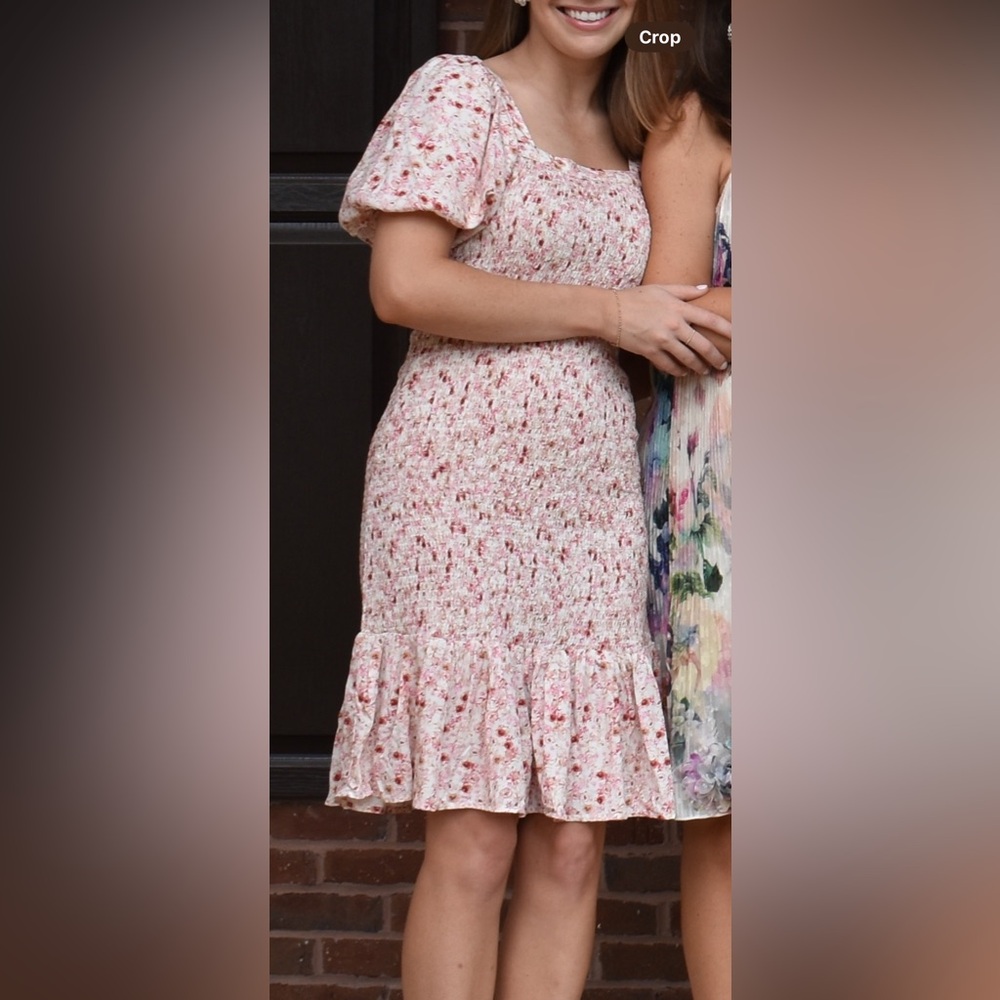 Anthropologie Floral Pink Smocked Dress